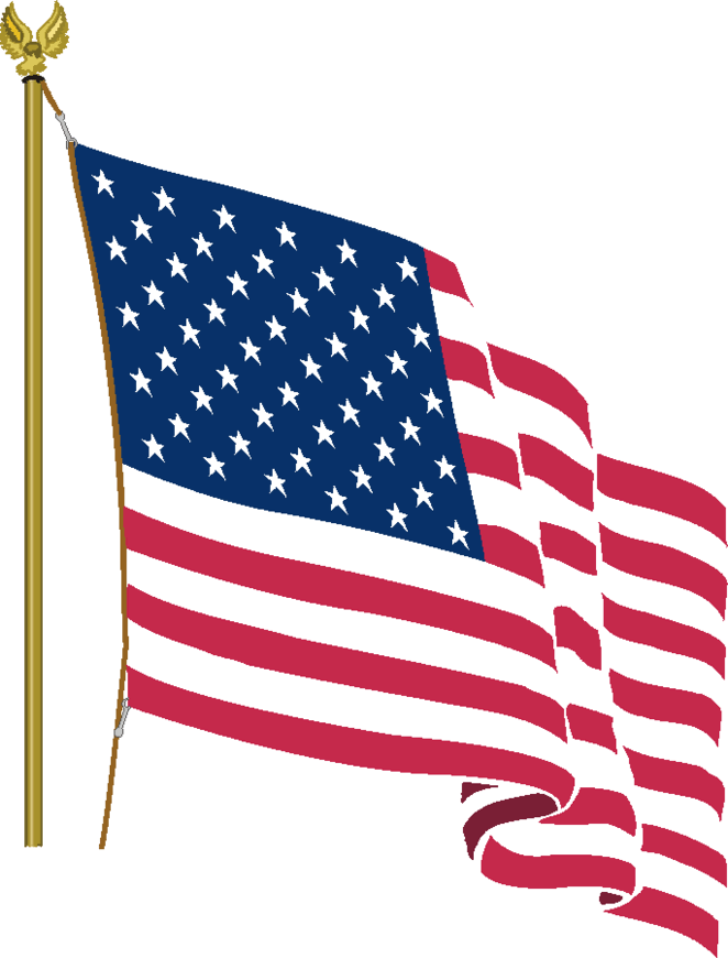 662x870 American Flag Pics Free
