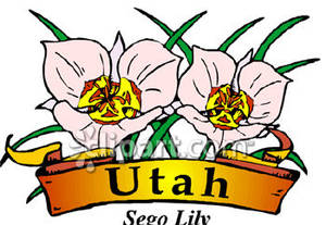 300x207 State Flower Of Utah, The Sego Lily Royalty Free Clipart Picture