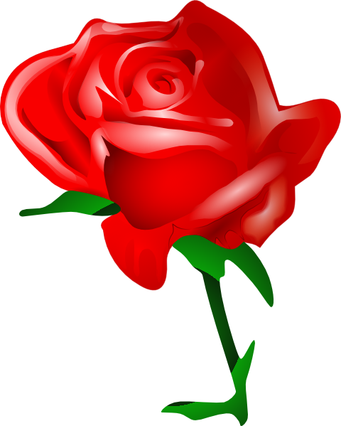 480x599 Valentines Day Roses Clip Art High Definition Wallpapers (Hd