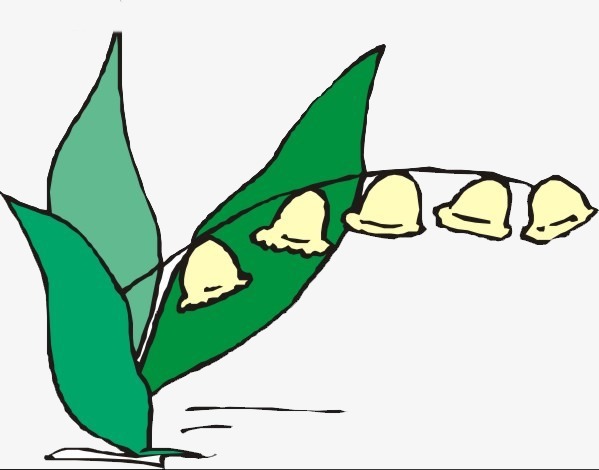 599x470 Lily Of The Valley, Flower, Hand Painted Png Image And Clipart