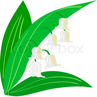 320x320 Lily Of The Valley Isolated On White Background Stock Vector