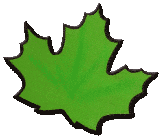 556x474 Madawaska Valley Studio Tour ~