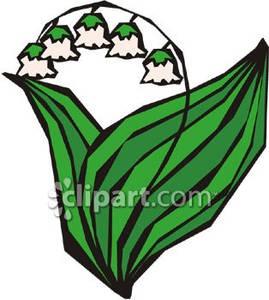 269x300 Cartoon Lily Of The Valley Flower