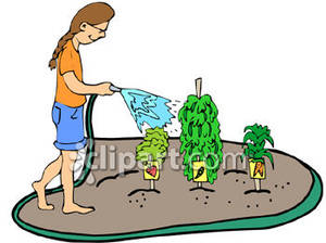 300x224 Vegetable Garden Clip Art Clipart Panda