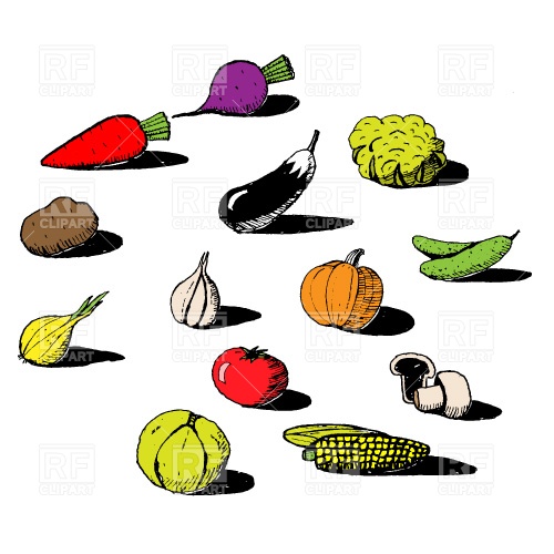 500x500 Vegetables Free Download Vector Clip Art Image