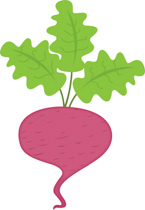 145x210 Free Vegetables Clipart