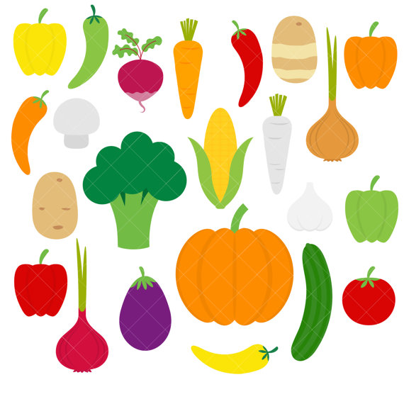 570x570 Veggies Clipart
