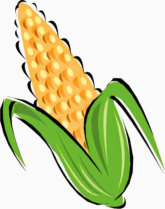 537x679 Vegetable Clip Art