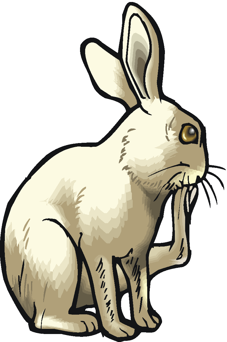 797x1200 Free Rabbit Clipart