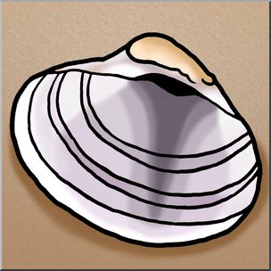 304x304 Clip Art Seashells Venus Clam Shell Color I Abcteach