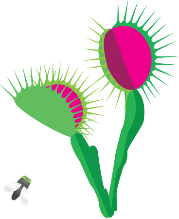 368x450 Venus Fly Trap