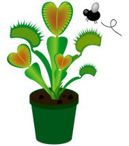 189x214 Venus Flytrap Premium Clipart