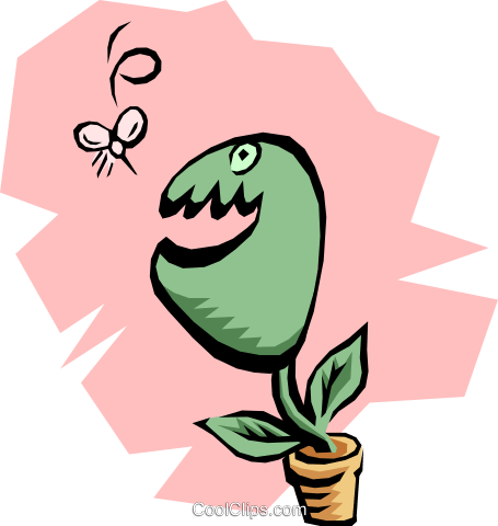 455x480 Venus Fly Trap Royalty Free Vector Clip Art Illustration Natu0067