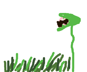 300x250 Venus Fly Trap Eating Fly