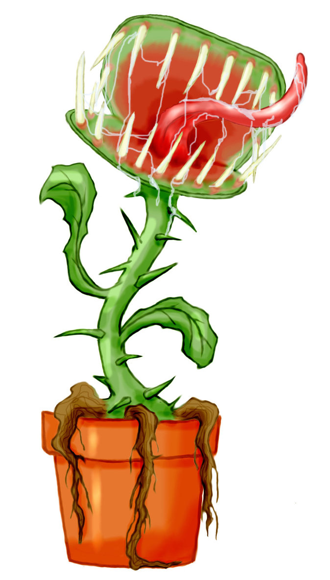 674x1185 Vinny The Venus Flytrap By Minasan15