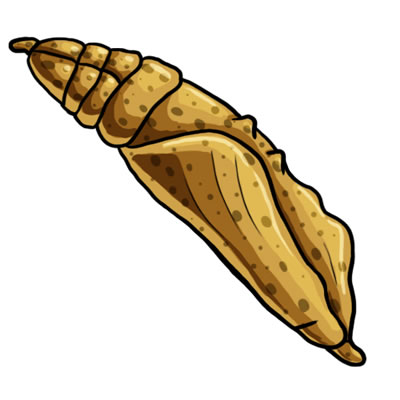 400x400 Caterpillar Clipart Cacoon