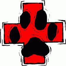 224x225 Once I Graduate I Am Going To Embroider This On Everything Vet