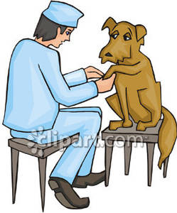 249x300 Vet With A Dog