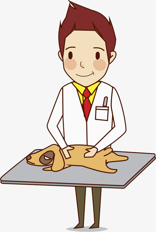 526x784 Hand Drawn Veterinarian, Cartoon, Hand, Puppy Png Image