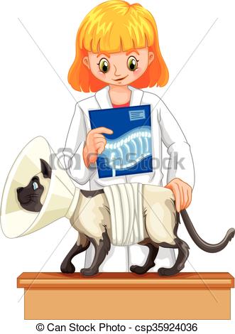 331x470 Vet Holding X Ray Film Of Cat Illustration Vectors