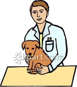 267x300 Vets Clipart