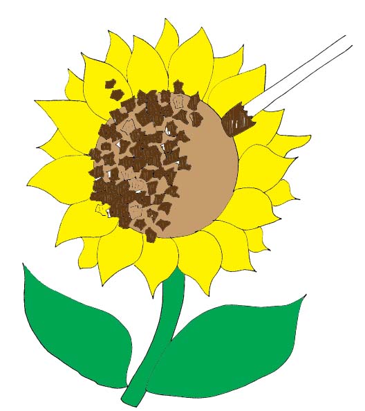 528x594 Tissue Paper Sunflowers Craft