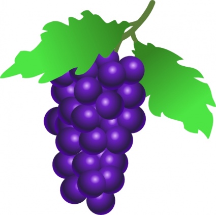 425x422 Grapes Vine Clip Art Clip Arts, Free Clipart