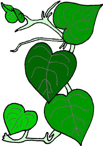 350x496 Vine Clip Art Free Clipart Panda