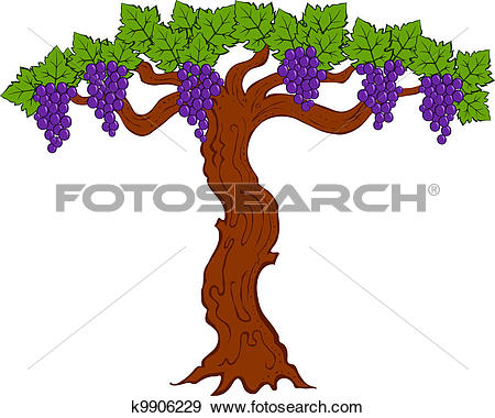 450x380 Clip Art Tree Grape