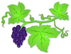 236x180 Google Image Result