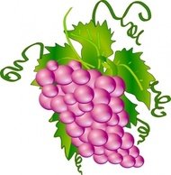 190x194 Grapes Clip Art Clip Arts, Clip Art