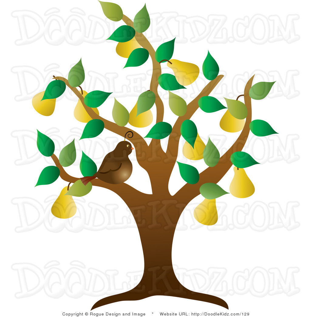 1024x1044 Vineyard Clipart Crop 4034401