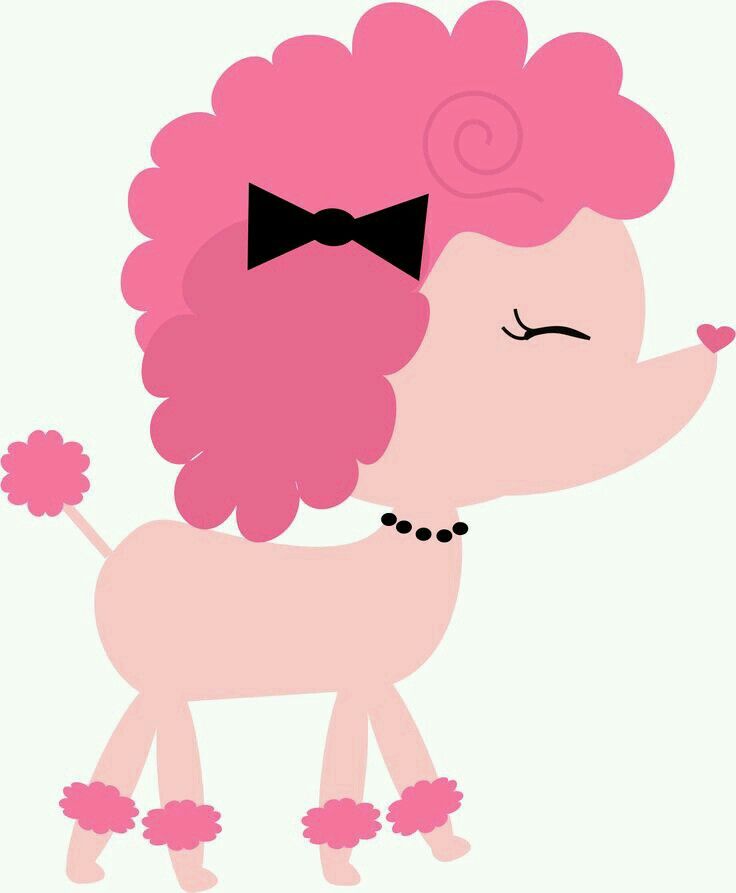 736x893 13 Best Perritos Images On Paris Party, Parisian Party