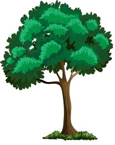 236x299 Painted Green Tree Png Clipart Picture Wallpaper Vintage