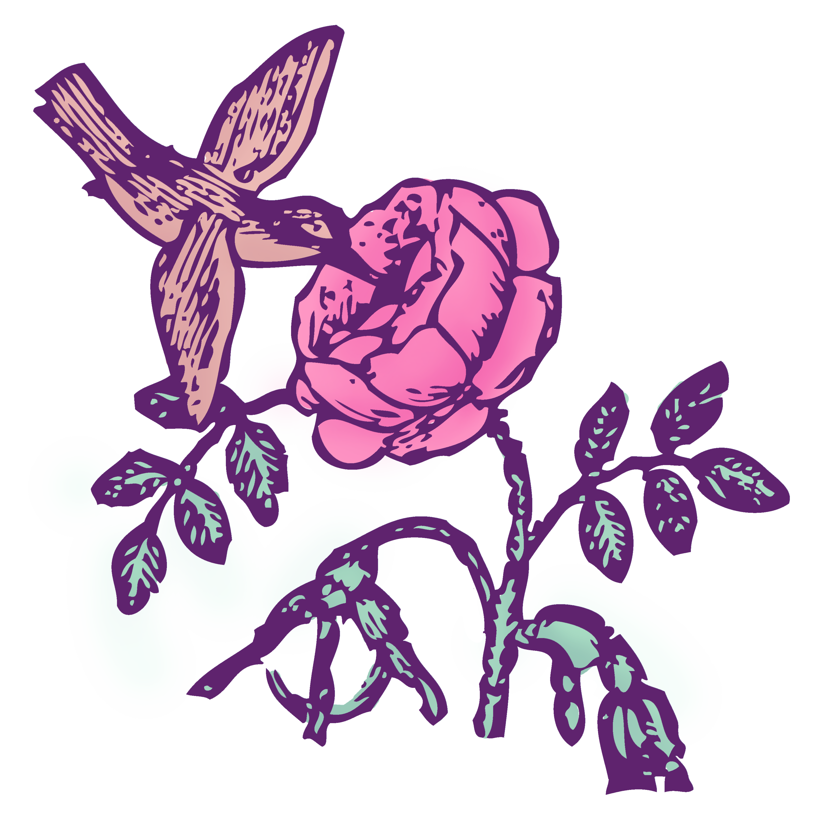 3208x3208 Vintage Hummingbird Rose Color Clip Art