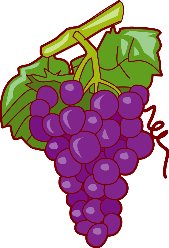 552x807 Collection Of Violet Grapes Clipart High Quality, Free