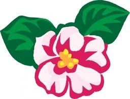 256x195 African Violet Clip Art