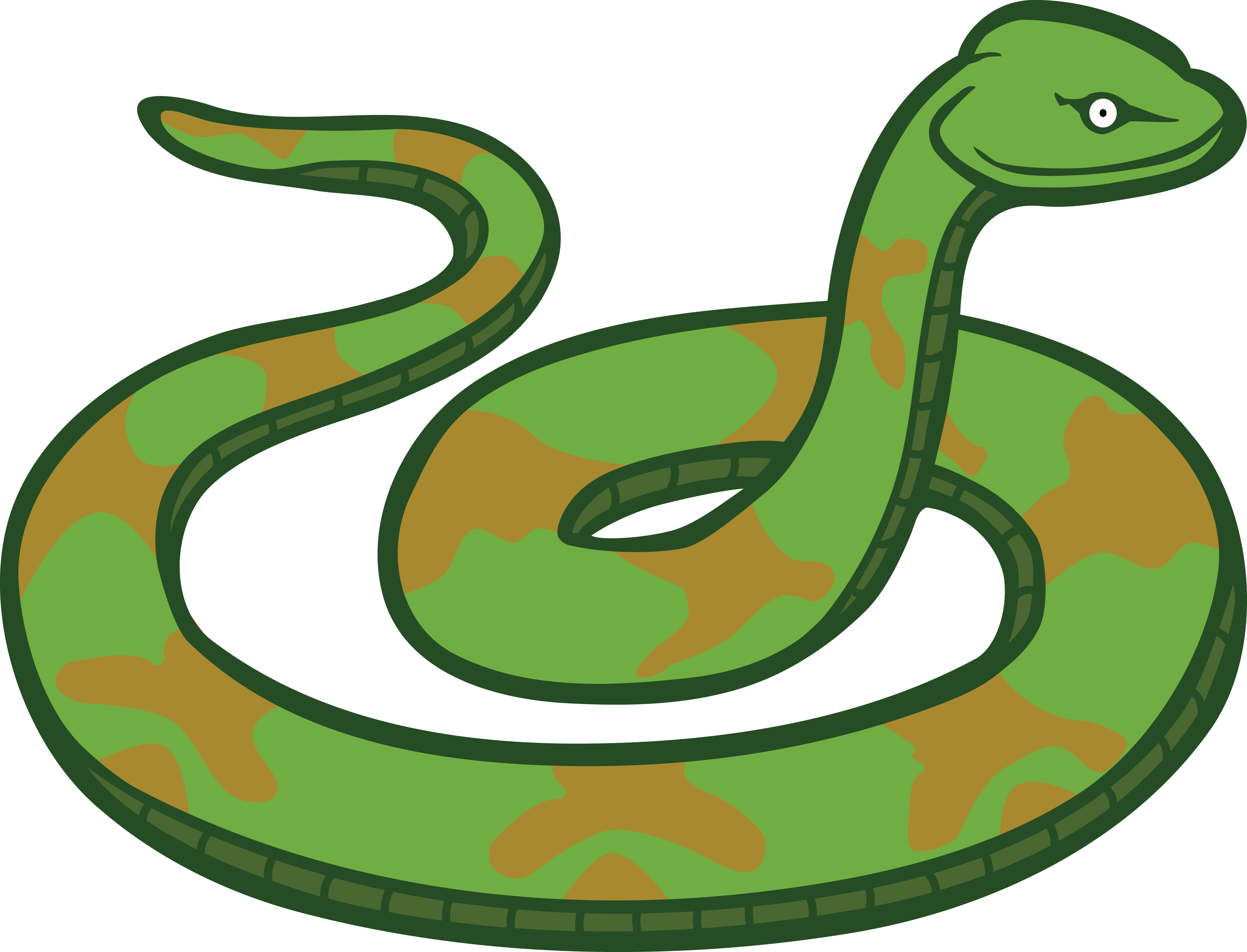 4000x3054 Free Clipart Of A Snake