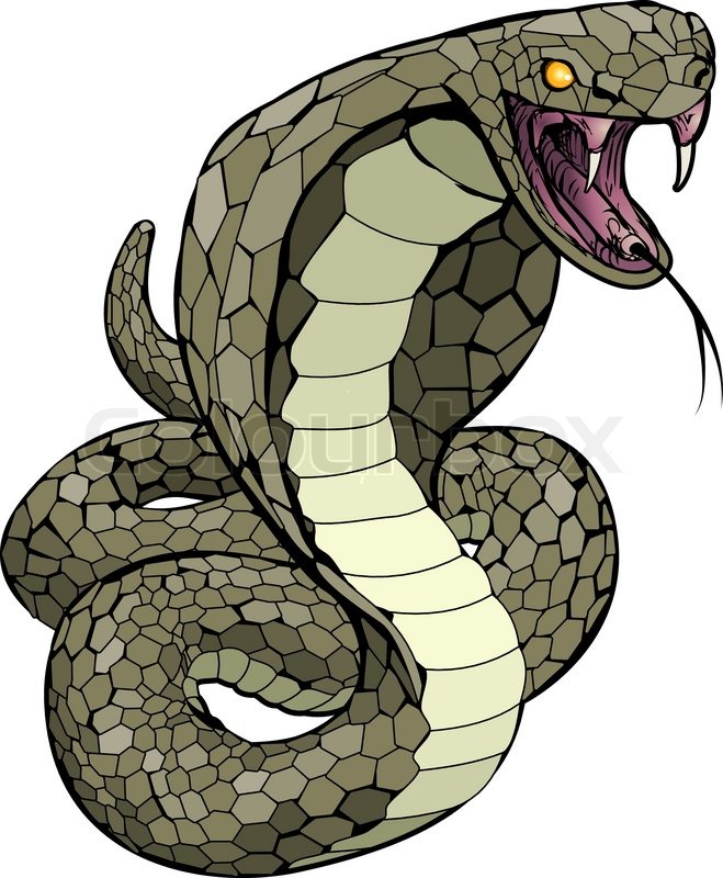 659x800 King Cobra Clipart Viper Free Collection Download And Share King