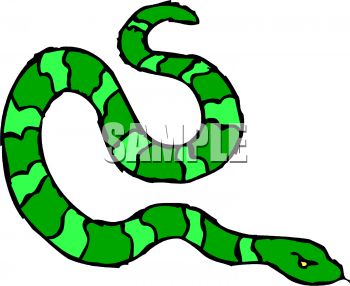 350x286 Picture Of A Green Striped Snake Hissing In A Vector Clip Art