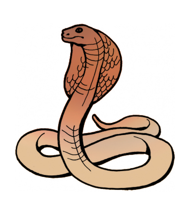 632x671 Top 94 Cobra Clip Art