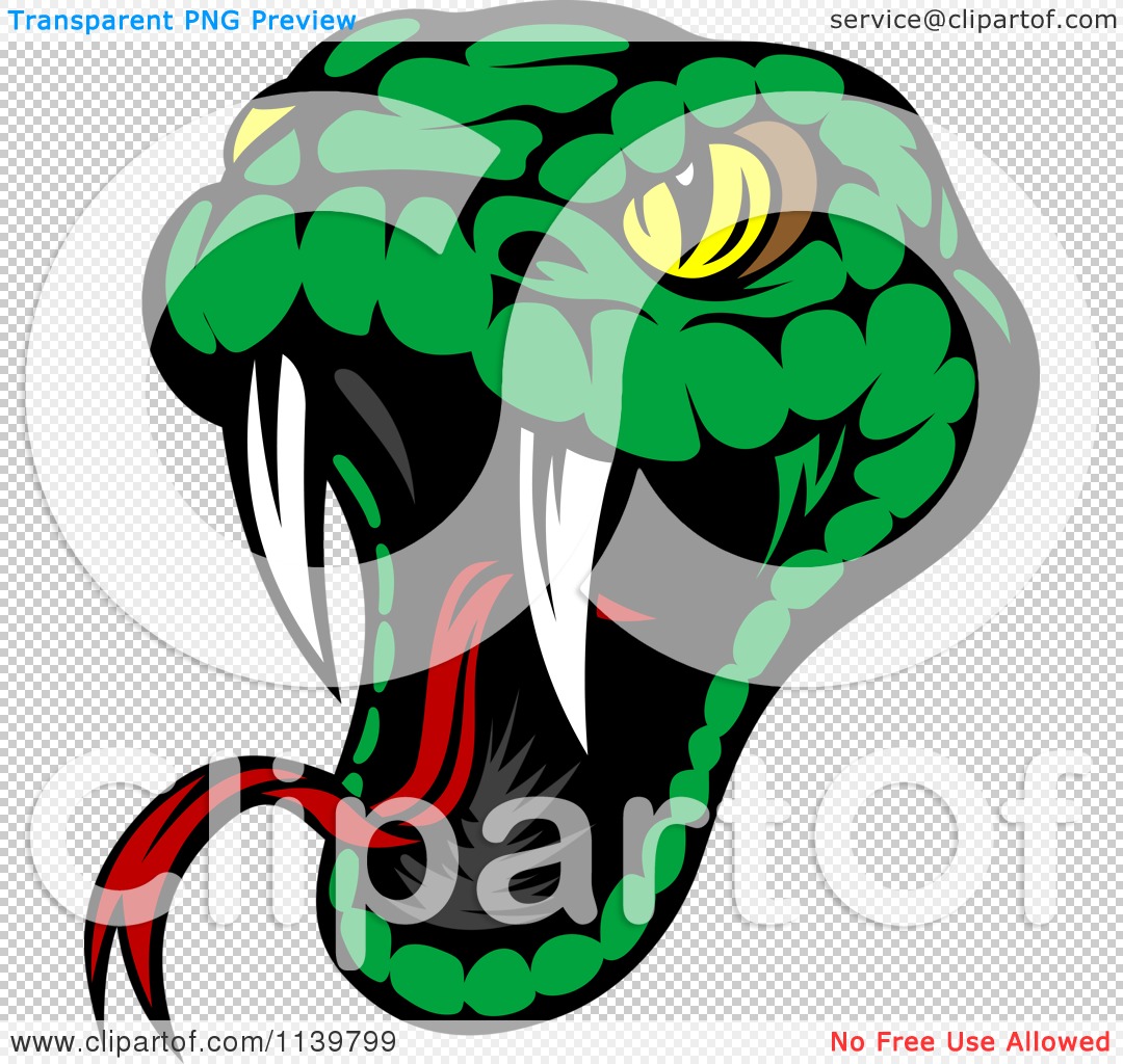 1080x1024 Clipart Of A Biting Green Viper Snake