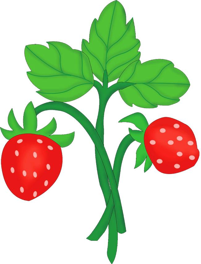 650x854 Cherry Clip Art Free Cherry With Leaf Download Royalty Free Vector