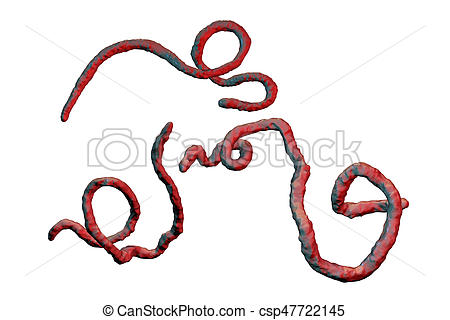 450x320 Ebola Virus, Hemorrhagic Fever Virus. Ebola Viruses Isolated