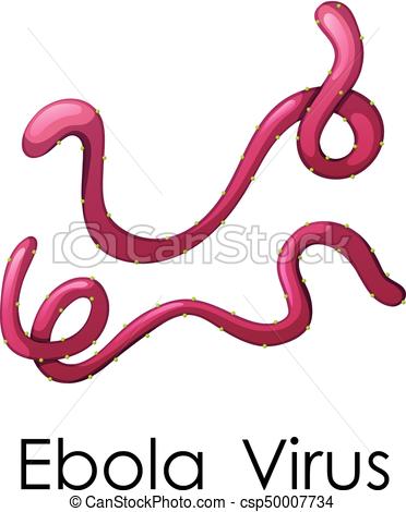 372x470 Collection Of Ebola Virus Clipart High Quality, Free