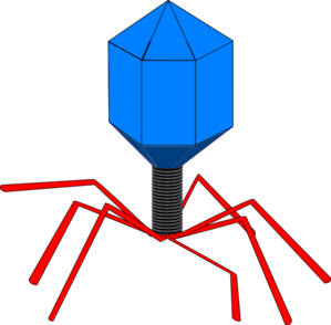 299x294 Virus Clip Art