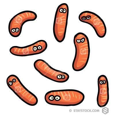 400x400 Virus Orange Cartoon Clipart Staystock