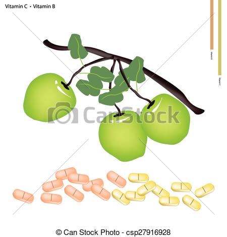 450x470 Green Apple With Vitamin C And Vitamin B. Healthcare Vector
