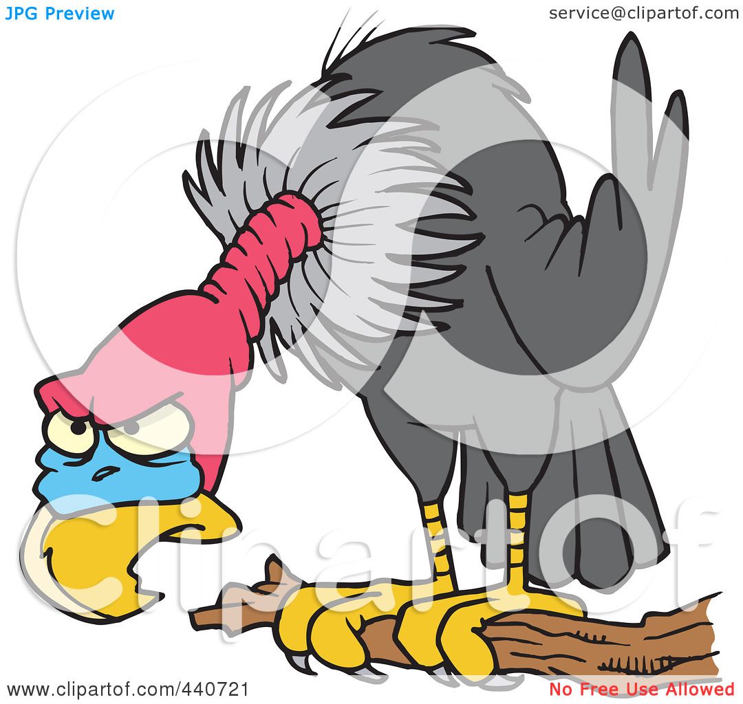 1080x1024 Royalty Free (Rf) Clipart Illustration Of Vulture Perched On