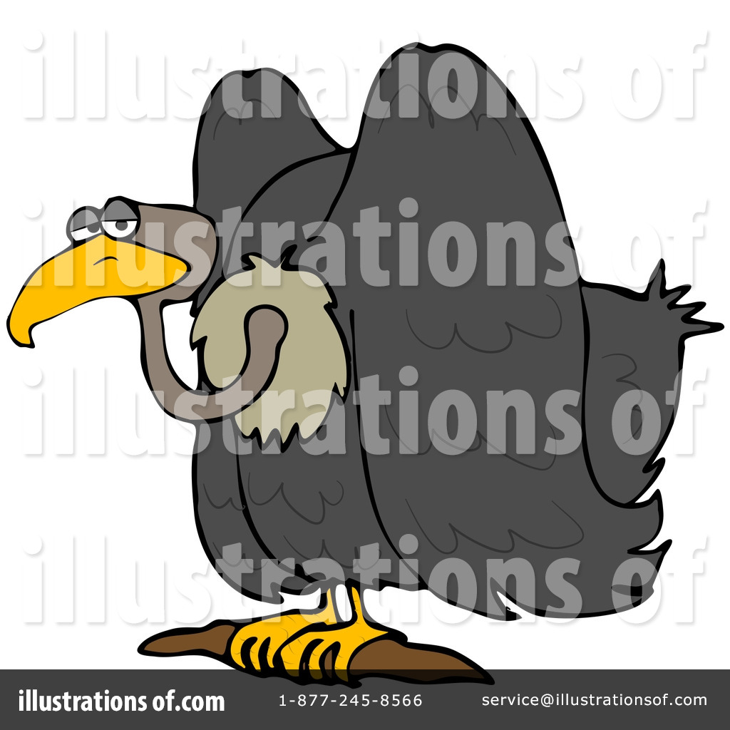 1024x1024 Vulture Clipart